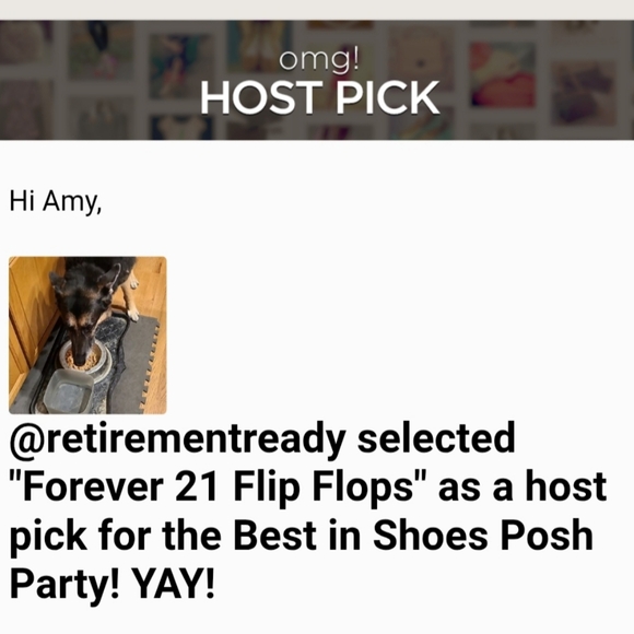 🎉HP🎉 Forever 21 Flip Flops - Picture 3 of 3